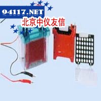 DYCZ-40D型 迷你转印电泳仪(槽)